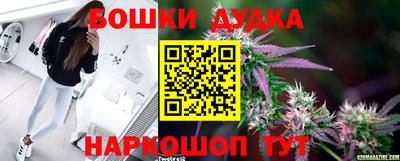 стаф Малоярославец