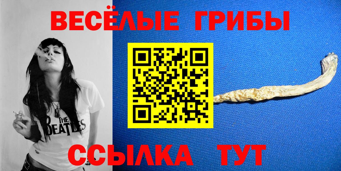 Псилоцибиновые грибы GOLDEN TEACHER Чебоксары